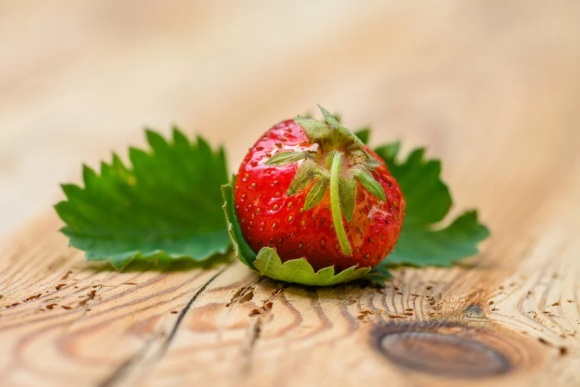 正能量 早上问候语 发朋友圈早上好的句子