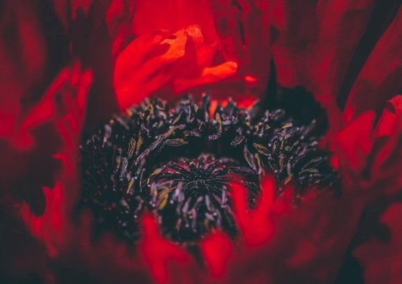 三个字以内的游戏名字(共1833个)