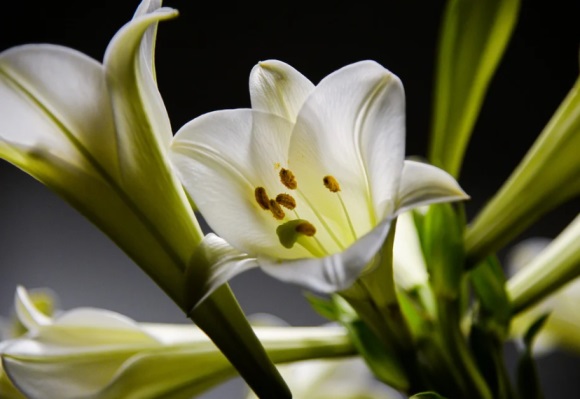 简单大气的女孩名字(1783个)