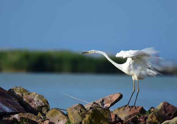 经典女生网名昵称大全两个字(优选1572个)