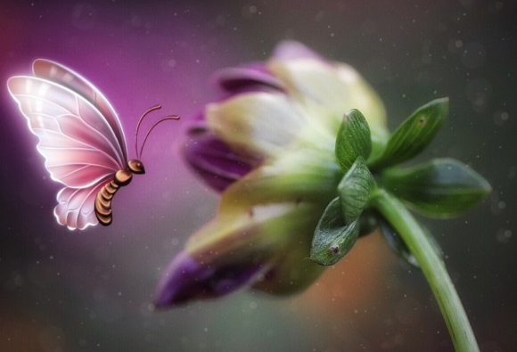 情侣专用唯美的情侣游戏名字(728个)