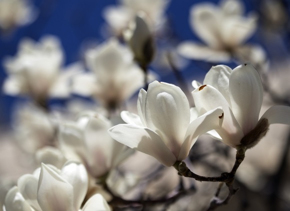 传奇游戏比较好听的名字(共1079个)