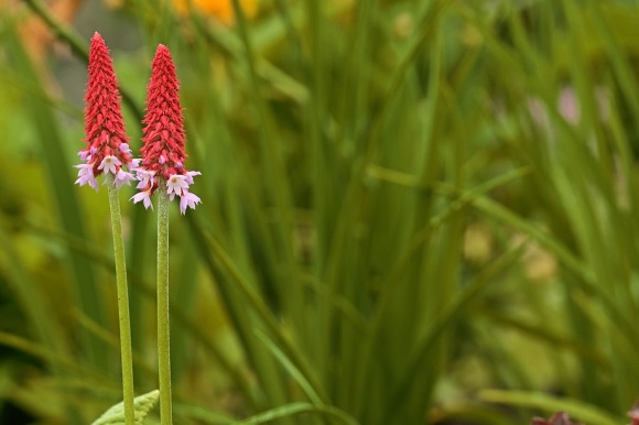 2024年情侣网名(优选363个)