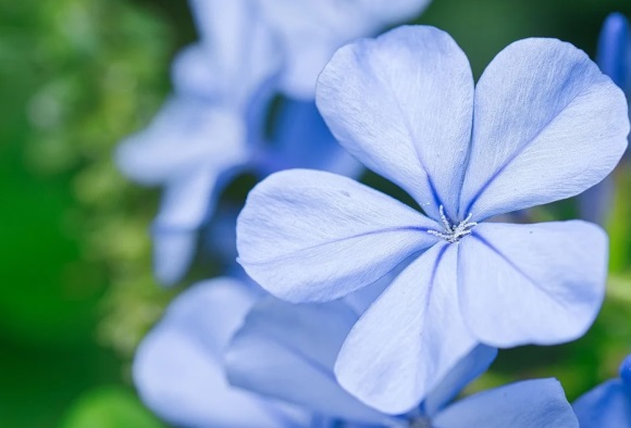 超长超酷的QQ网名(441个)