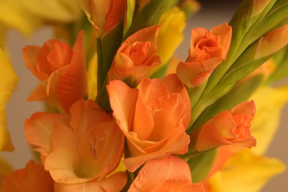 男生孤独冷漠悲伤网名大全