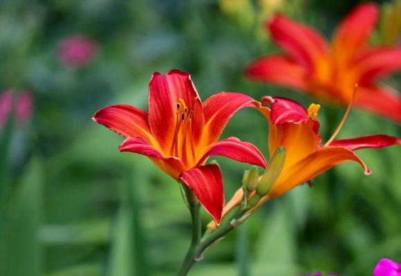 可爱到爆表的情侣双人昵称(精选309个)