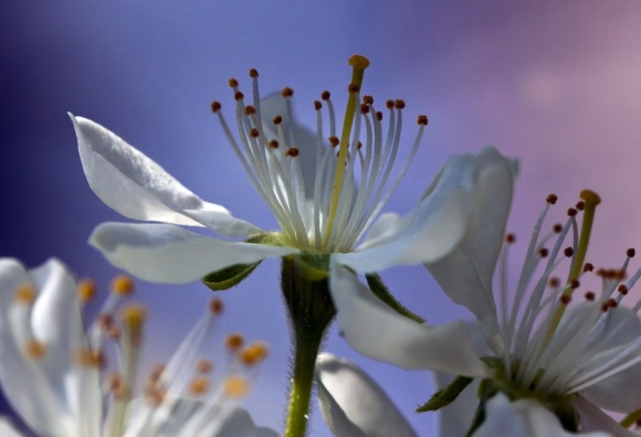 清甜的情侣网名(精选380个)