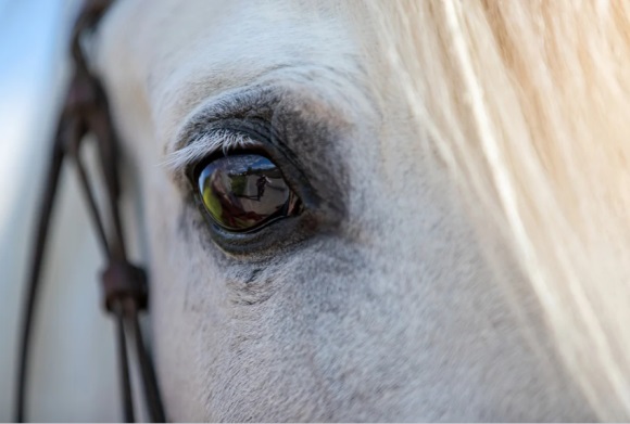 平安夜孤独的男生qq网名(精选502个)