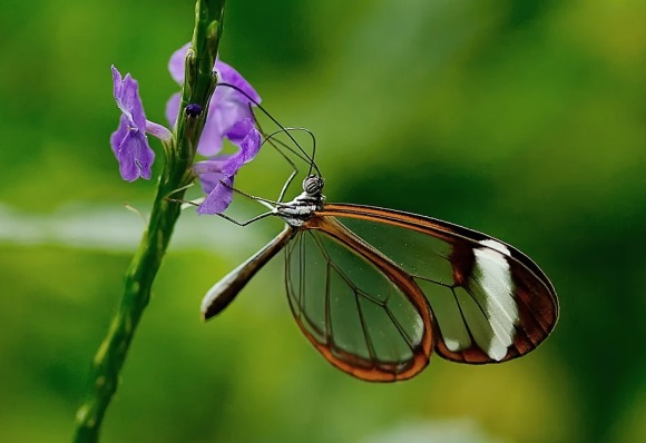 超拽个性霸气男孩网名(优选534个)