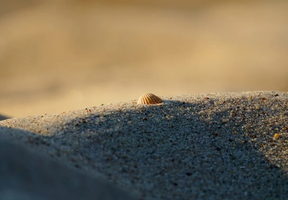 好听的两个字的昵称(精选718个)