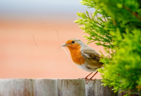 特别牛的网名字大全(优选553个)