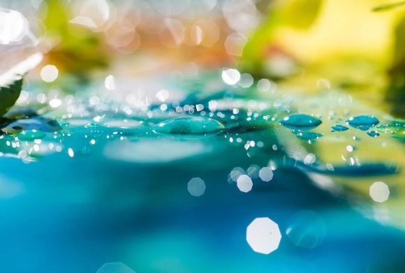 执手相伴恩爱网名(532个)