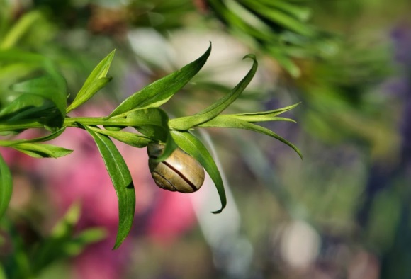 属兔男人2024年网名(优选213个)