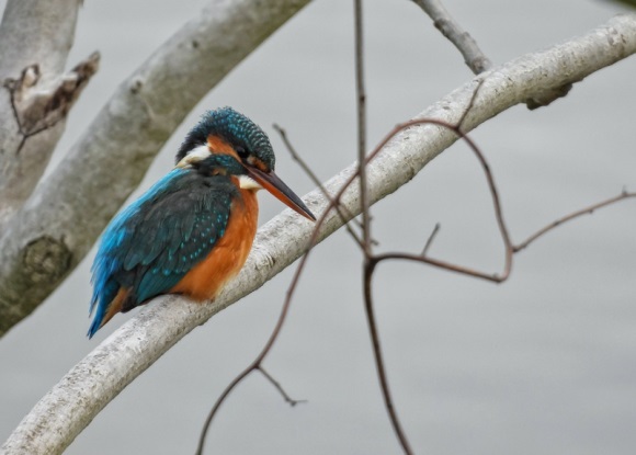 适合高中生的网名(优选209个)