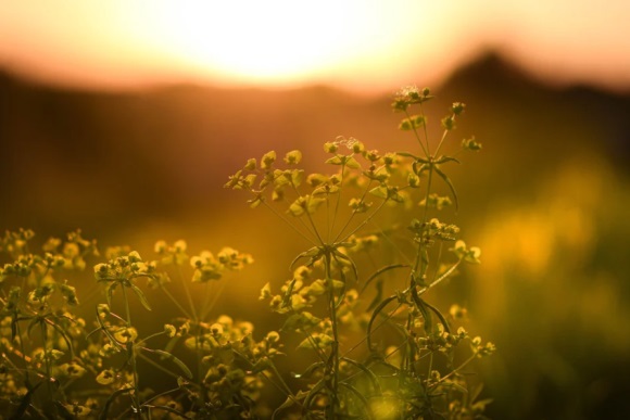 幽默道没有朋友的搞笑网名169个