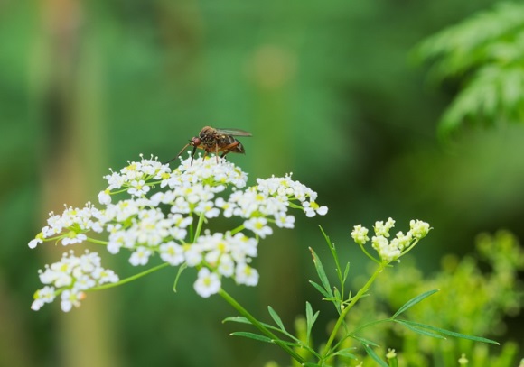 比较诗情画意的情侣名字(114个)