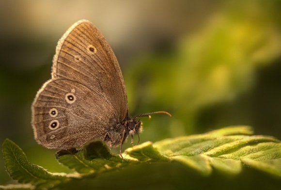 情侣超拽游戏名字大全(精选134个)
