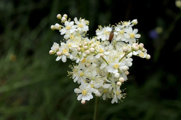 qq个性空间女网名(精选209个)