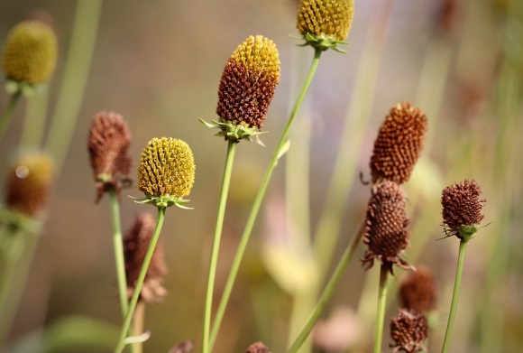 王者荣耀好听的情侣名(精选121个)