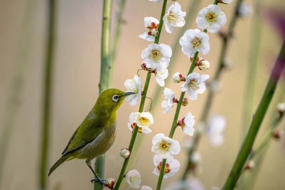 好听的男女通用游戏昵称(精选205个)