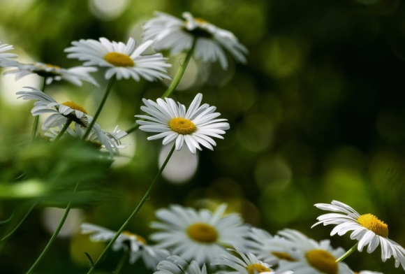 又酷又拉风的网名(205个)