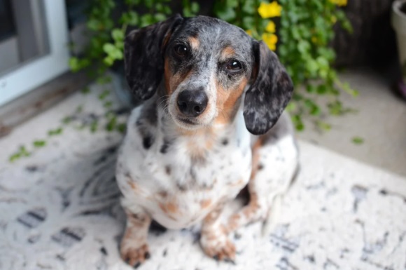 男生超级搞笑网名大全(208个)