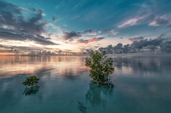 污一点可爱的网名(优选185个)