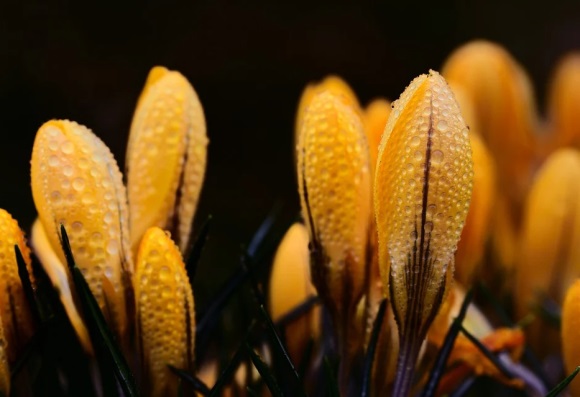 可爱又憨憨的网名(精选209个)