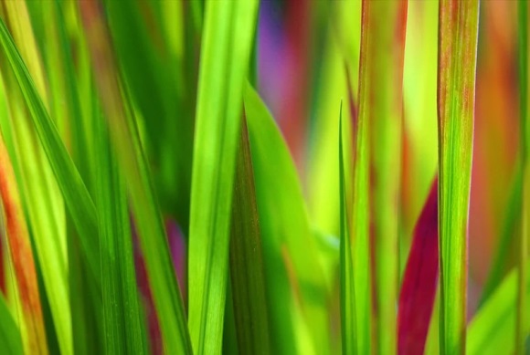 少女心小清新的名字(优选450个)