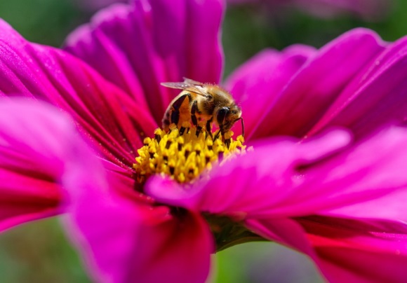 一个字独特好听网络名字大全(共303个)