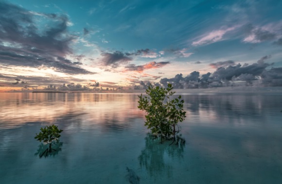 二次元女生可爱名字(优选207个)