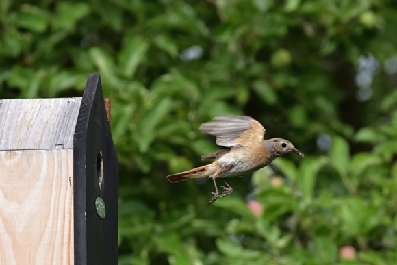 形容后悔的网名大全(精选207个)