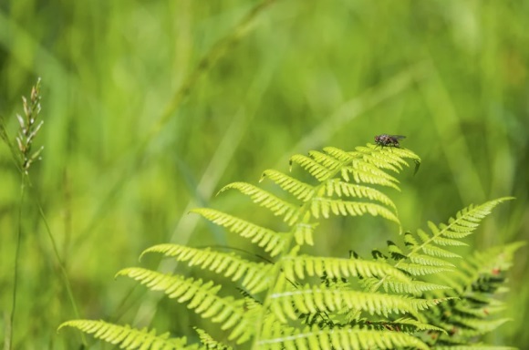 2024男生霸气高冷到爆的微信名(1857个)