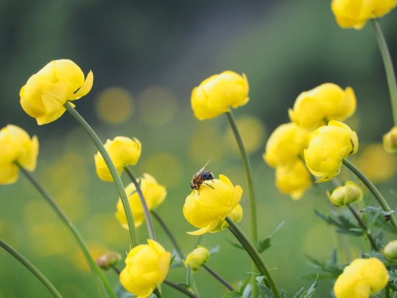 有魅力显成熟的男生微信网名(精选178个)