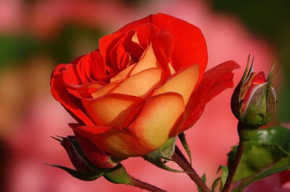 复古风格简短一点的男生微信名字大全(共173个)