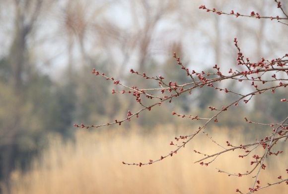 个性比较萌的微信网名(精选178个)