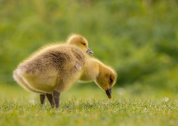 骚气十足的微信名字(优选180个)