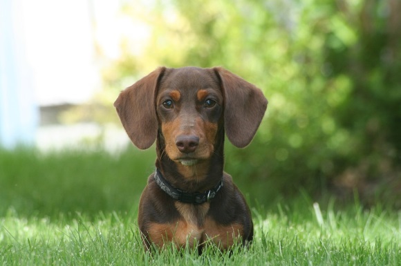 吉祥好运的微信名字两个字(优选516个)