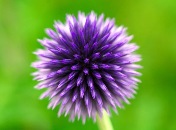 适合孤独的微信昵称(优选176个)