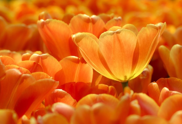 世界上最帅最酷的微信网名(优选149个)