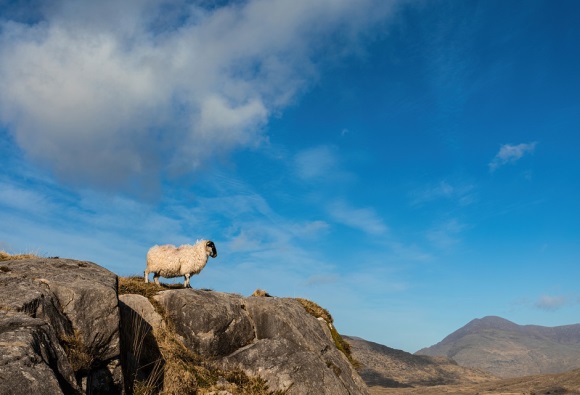 带国字微信网名(145个)