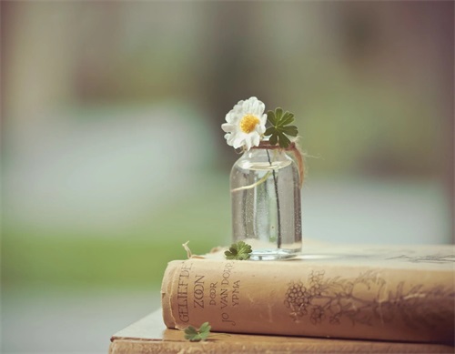 幸福还在qq网名(共281个)