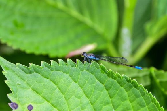 六七十岁老人微信名