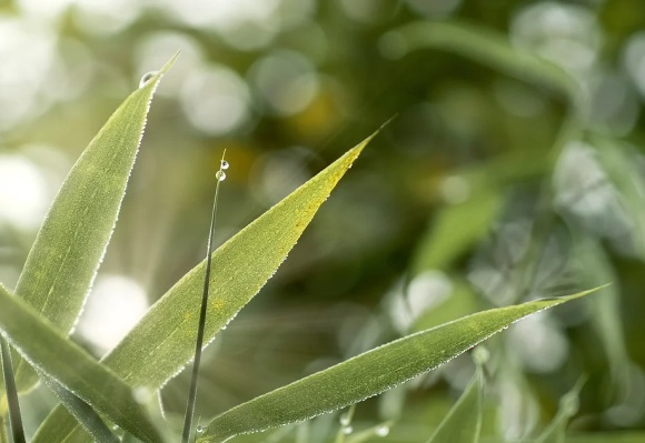 最新阳光成熟男生微信网名(优选160个)