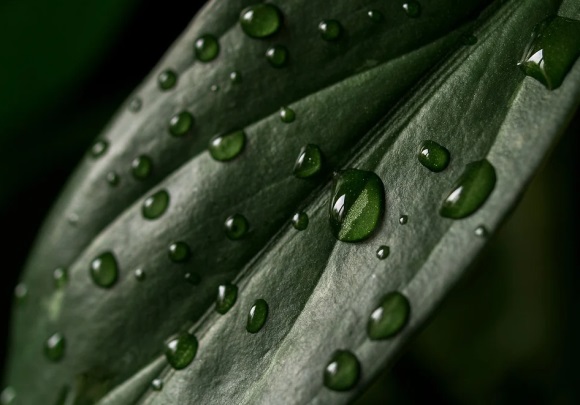 2024最新版的微信霸气网名(共161个)