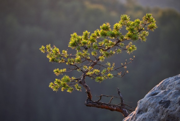 好听的励志微信网名(共161个)