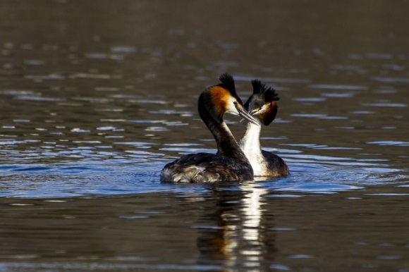 容易中横财的微信网名(精选158个)
