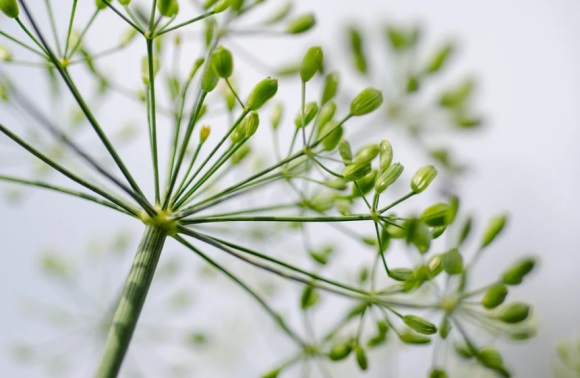 六七十岁老人微信名(共211个)