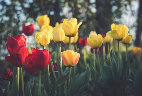 经典有内涵的微信网名(共161个)