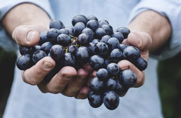 幽默风趣的情侣微信名(共108个)